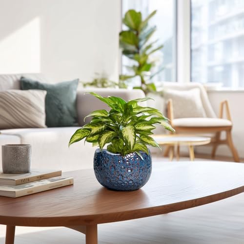 6 Inch Plant Pot, Ceramic Pots for Plants, Retro Blue - Image 6