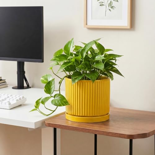 Ceramic Planter 8 Inch, Round Flower Pots with Saucer, Yellow - Image 5