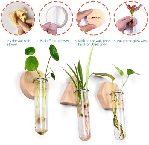 Wall Hanging Glass Planter Plant Propagation Station - Image 3