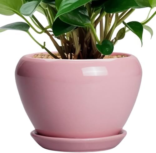 Ceramicfor 6 Inch Plant Pot - Ceramic Pot for Indoor Plants, Glaze Modern Decorative Round Ceramic Planter with Drainage Hole and Saucer, Plant Lover Gifts, Home Garden Room Office Decor, Pink by Ceramicfor