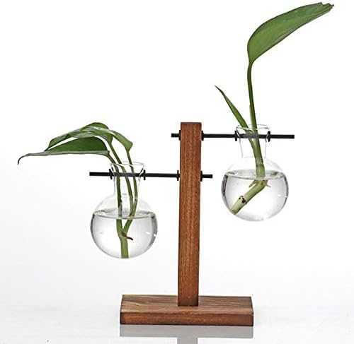Kingbuy Hydroponic Glass Vase with Retro Wooden Stand by Kingbuy