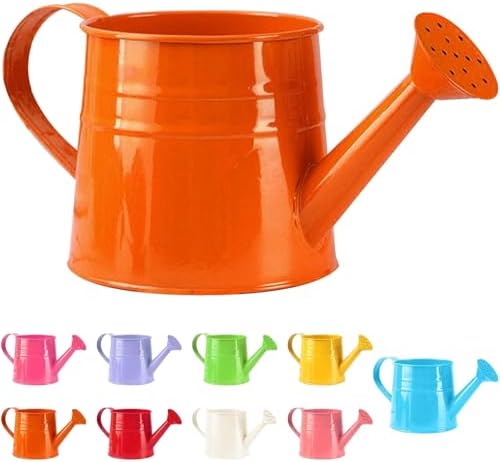 Watering Can Gardening Tool Accessories, Sprinkling Can 1L Metal Flower Garden Watering Can for Outdoor Indoor Plants Lawn Garden (Orange) by Unknown