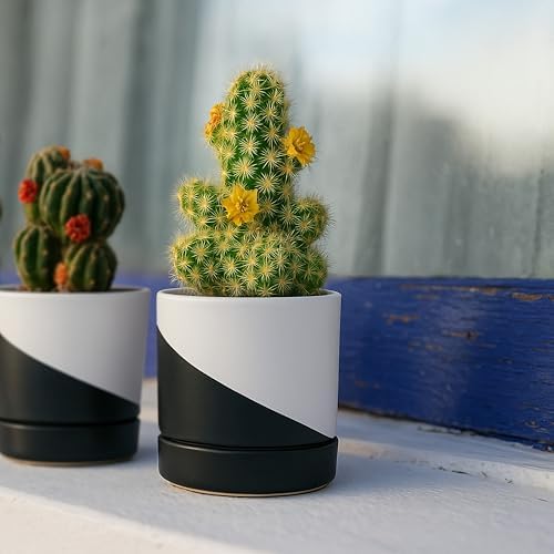 D'vine Dev 3.5 Inch Ceramic Planter Pot, Black White Diagonal, 94-O-A-K - Image 6