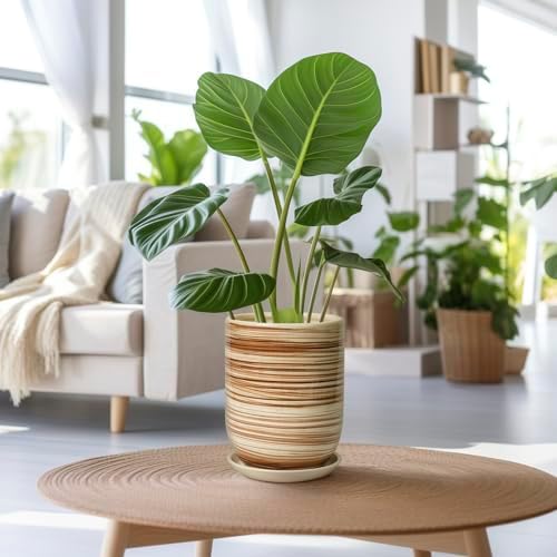 8 Inch Plant Pot, Ceramic Planter for Outdoor Plants, Large Plant Pot Indoor with Drainage Hole and Saucer, Modern Flower Pot for Home Garden Decor Yellow - Image 2
