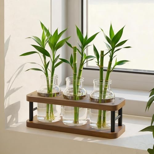 THYGIFTREE Plant Propagation Station with Wooden Stand, Propagation Vases Glass Planters for Indoor Plants Hydroponic Propagating Jars Home Office Decor, Brown - Image 5