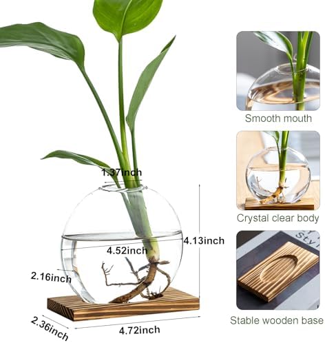 Propagation Vases for Plants - Glass Terrarium Planter with Wooden Stand, Small Desktop Oblate Hydroponic Propagation Vases for Modern Home & Office Decor (2) - Image 2