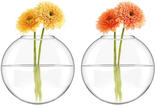 Mkono Wall Propagation Planters, 6 Pack Oblate Hanging Plant Holder Vase - Image 3