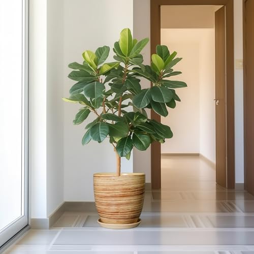 12 Inch Planter Pot Ceramic Plant Pots for Plants with Drainage Hole and Saucer Large Flower Pot for Home Patio Garden Office Yellow - Image 5