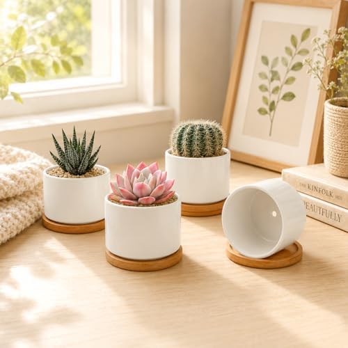 ZOUTOG 8 Pack 3.1" Ceramic Succulent Pots,White Planter with Drainage Tray - Image 4