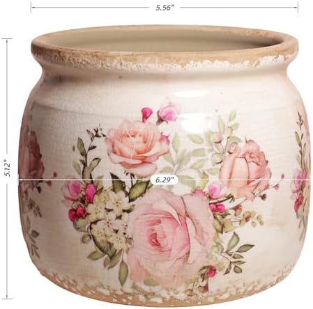 Xiaan Jiaju Vintage Victorian Ceramic Planter & Vase for Indoor Plants - Image 3