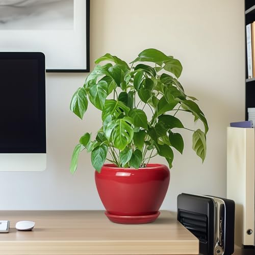 Ceramicfor 6 Inch Plant Pot - Glaze Modern Ceramic Planter for Indoor Plants, Succulent Pot with Drainage Hole and Saucer, Office Garden Home Decor, Housewarming Gift, Red - Image 7