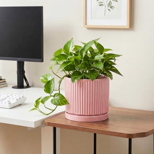 8 Inch Plant Pot, Ceramic Flower Pots, Round Plant Pots, Pink - Image 5