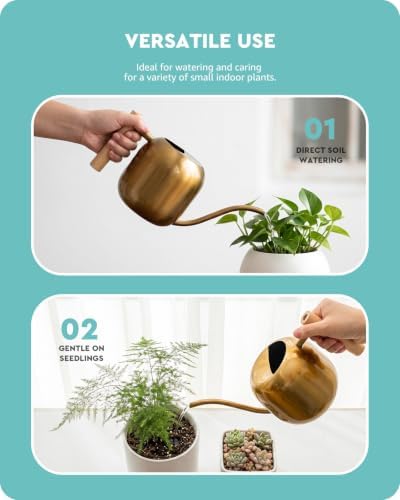 Baffect Watering Can Indoor Plants with Long Spout, 1.2L / 41oz (Glod) - Image 5