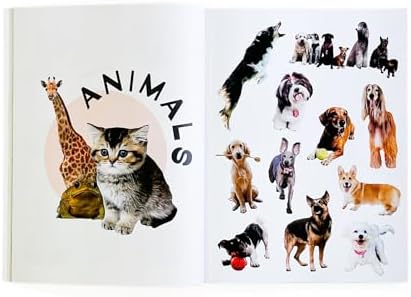 Collage Kit Vol. 2: 1000+ Images for Junk Journaling, Vision Boarding & DIY Crafts | 230-Page Creative Magazine with Perforated Pages, Prompts & Art Inspiration for Beginners & Pros (Volume 2) - Image 4