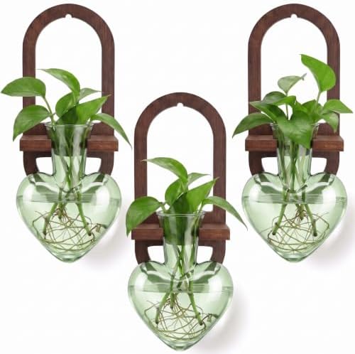 Hushee 3 Set Plant Propagation Station for Wall Hanging with Wooden Stand by Hushee