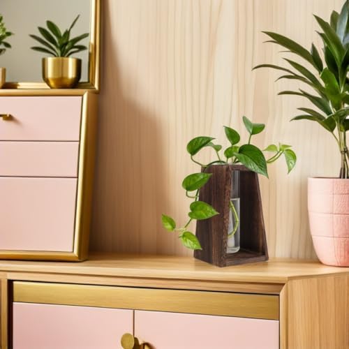 Wood Test Tube Vase Stand for Plant Propagation, Single Tube Base - Image 7