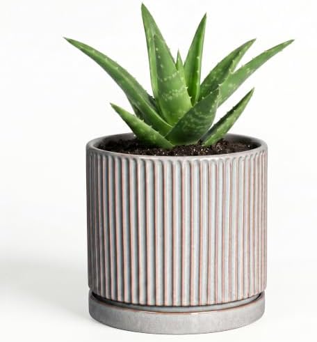 Ceramic Planter, 4 Inch Plant Pots, Round Pots for Plants, Grey by Unknown