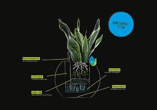 Lechuza Puro Color 50 Slate, Self-Watering Large Round Planter, D19.7 H15.4 in - Image 4
