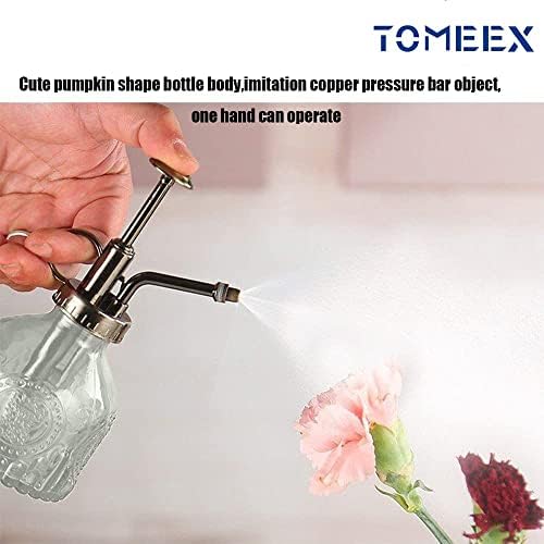 Plant Mister in Glass 200ML, Small Spray Bottle with Plastic Top Pump, Fine Mist Decorative Sprayer Tiny Watering Can Gift for Indoor Outdoor Succulent House Plant (Transparent) - Image 3