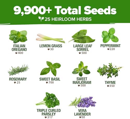 HOME GROWN 25 Herb Variety Pack 8,700+ Seeds Extra Large Culinary Kit - Image 4