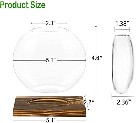 Kingbuy Round Glass Desktop Planter with Wooden Stand - Propagation Station for Small Hydroponic Plants, Spider Plants, Pothos, Lucky Bamboo - Terrarium Vase for Home Office Decor, 2-Pack, Brown - Image 6