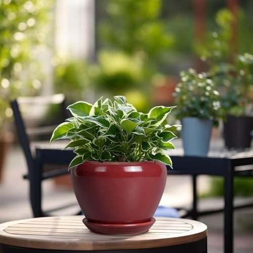Ceramicfor Ceramic Pot for Plants - 6 Inch Plant Pot Indoor with Drainage Hole and Saucer Succulent Outdoor Planter Round Flower Pot for House Patio Decor Red - Image 4