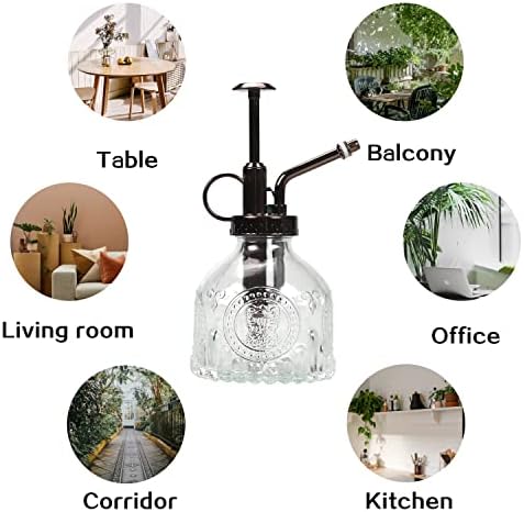 TOMEX Glass Plant Mister Spray Bottle 200ML Vintage Style Plant Spritzer Small Sprayer Mister Succulent Watering Bottle with Top Pump Watering Can for Indoor Outdoor House Plants,Flowers (Clear) - Image 4