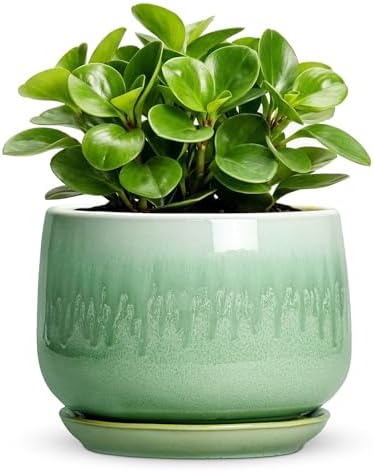 6 Inch Planter, Ceramic Plant Pots for Indoor Plants, Green by Fivepot