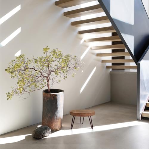 OBTAIN Plant Stand Indoor Outdoor Wood Mid Century Plant Stand for Indoor Plants, Modern Plant Table Round Plant Stool, Boho Rustic Wooden Stool for Plant Pot Hol (L) - Image 4