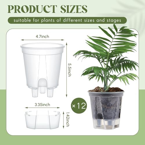 Wonderjune Self Watering Planter, 4.72'', Clear, 12 Pcs - Image 2