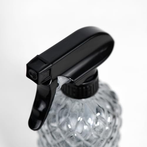 12Oz Glass Plant Spray Bottle with Black Plastic Top Pump - Image 5