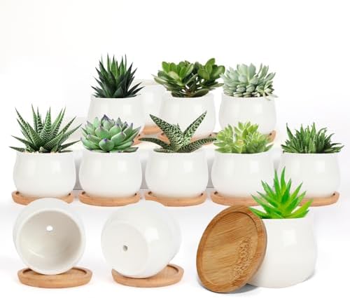 SHECIPIN Succulent Pots, White Mini 2.5 inch Ceramic Flower Planter Pot with Bamboo Tray, Pack of 12 - Plants Not Included by SHECIPIN