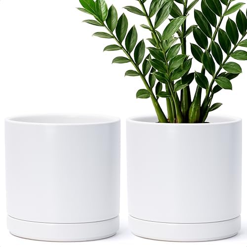 D'vine Dev 2-Pack Ceramic Pots with Saucers, White, 8.2 in, 94-V-D-1 by DvineDevPlanterPotsandStand