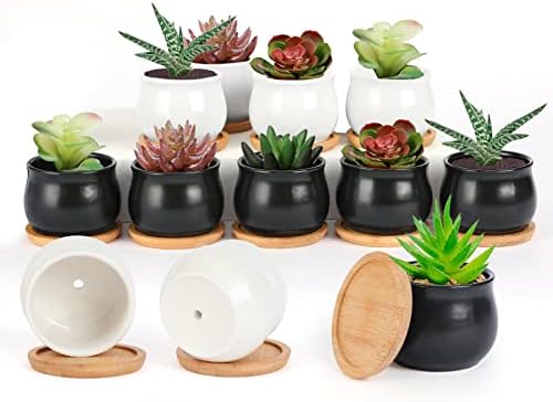 SHECIPIN 12 Pack Succulent Plant Pot, Mini 2.6 inch Ceramic Flower Planter Pot with Bamboo Tray, Small Pots for Plants, Plants Not Included （White, Black） by SHECIPIN
