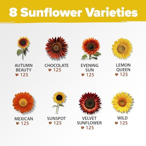 HOME GROWN Sunflower Mix Seeds, 8 Variety, 1,000+ Seeds - Image 2