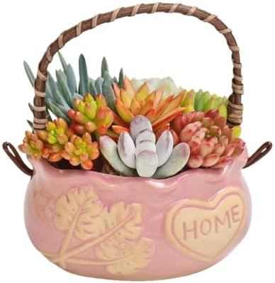 Ceramic Succulent Planter Pots, 4 Inch Small Ceramic Plant Pot with Drainage Holes Flower Pots for Cactus, Herbs, Outdoor Plants (Pink) by SUSOYAOCHEN