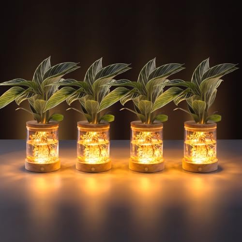 Plant Propagation Station with Wooden Saucer, Glass Terrarium with Dimmable Function Hydroponic Container Vase Jars Gardening Gifts for Mom Women Plant Lovers(4 Pack) by WelcometoEverkeen