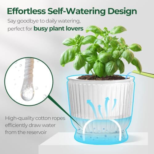 T4U Self Watering Pots for Indoor Plants 6 Inch 4 Pack Planter Clear - Image 4