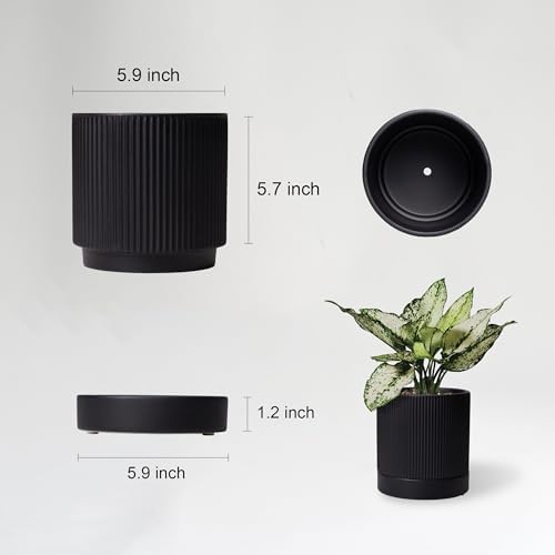 HERDUK 6 Inch Ceramic Plant Pot with Drainage & Saucer - Indoor Planter for Succulents, Cacti & Aloe Vera - Striped Design, High-Temp Fired Clay, Lightweight Modern Decor - Image 2