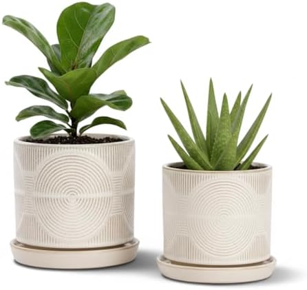 Ceramic Plant Pots, Modern Flower Pots, 4.5+5.5 Inch Small Plant Pots by Seworlan
