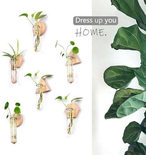 Wall Hanging Glass Planter Plant Propagation Station - Image 4