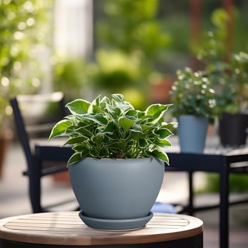 Ceramicfor Ceramic Pot for Plants - 6 Inch Plant Pot Indoor with Drainage Hole and Saucer Decorative Planter for Outdoor Plants Modern Succulent Pots Round Flower Pots Gray - Image 4