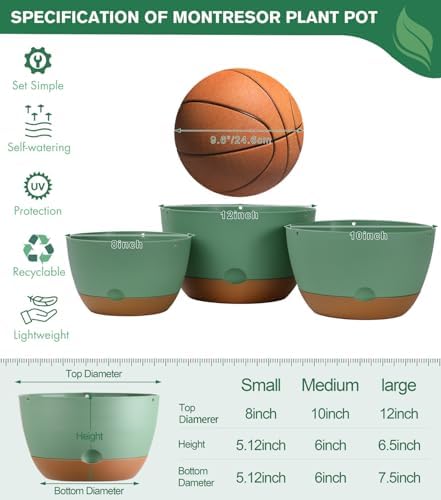 montresor 8/10/12 Inch Self Watering Hanging Planters for Outdoor/Indoor - Image 3