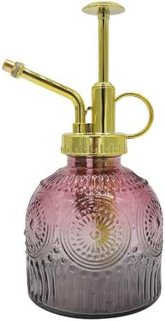 Glass Plant Mister Spray Bottle, 230ML Vintage Plant Spritzer, Succulent Watering Bottle Glass with Top Pump, Small Plants Sprayer Watering Can for Indoor Outdoor House(Red Gray) by VKSG