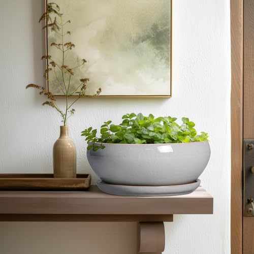 SQOWL Bonsai Pots - 10 Inch Ceramic Succulent Pots with Drainage Hole and Saucer, Large Shallow Indoor Planter, Bowl Round Planter Outdoor, Living Room Decor, Plant Lover Gifts, Gray - Image 6