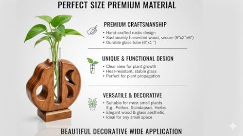 Plant Propagation Station Stand with Single Glass Test Tube Indoor Desktop Terrarium for Hydroponics Water Plant Cutting Flower Vase Planter Home Office Garden Decor Plant Lover Gifts - Image 5