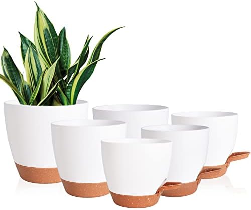 Vanslogreen Flower Pots, 8/7/6.5/6/5.5/5 Inch Self Watering Planters for Indoor Outdoor Plants with Drainage Hole, Plastic Planters for House Plants(White) by Vanslogreen