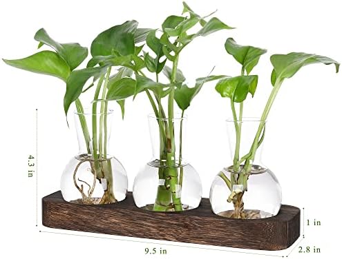 YIBOT Plant Propagation Station, Desktop Glass 3 Bulb Vase Brown Wood Tray - Image 3