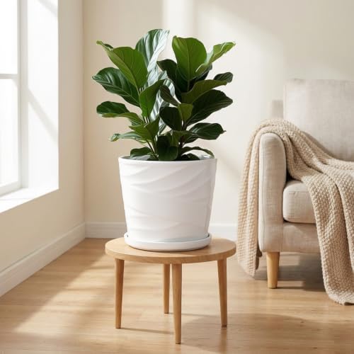 8 Inch Ceramic Plant Pot, White - Image 5
