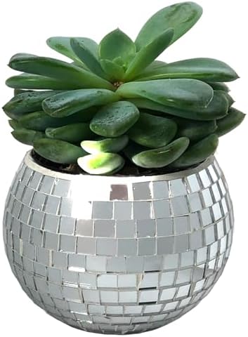 Mini Disco Ball Planter (Silver Color) Mini Vase Indoor Planter for Eucalyptus Plant for Shower Housewarming Gift Ideas Cute Desk Accessories Aesthetic Decor Silver by BusyPet